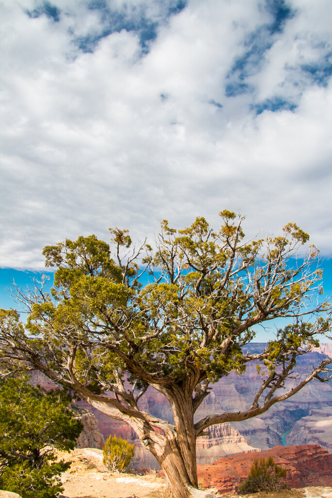 USA-2014-Grand-Canyon-4289.jpg