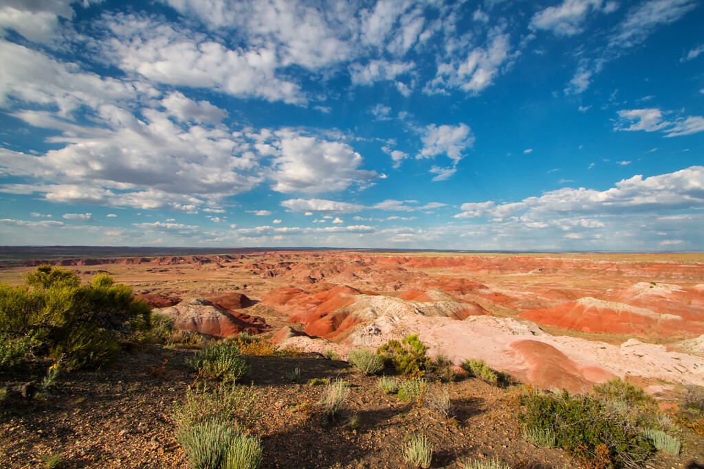 USA-2015-Petrified-Forest-8408-Bearbeitet.jpg
