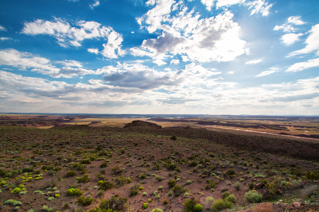 USA-2015-Petrified-Forest-8419-Bearbeitet.jpg
