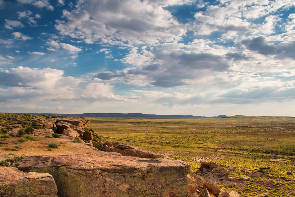 USA-2015-Petrified-Forest-8469-Bearbeitet.jpg