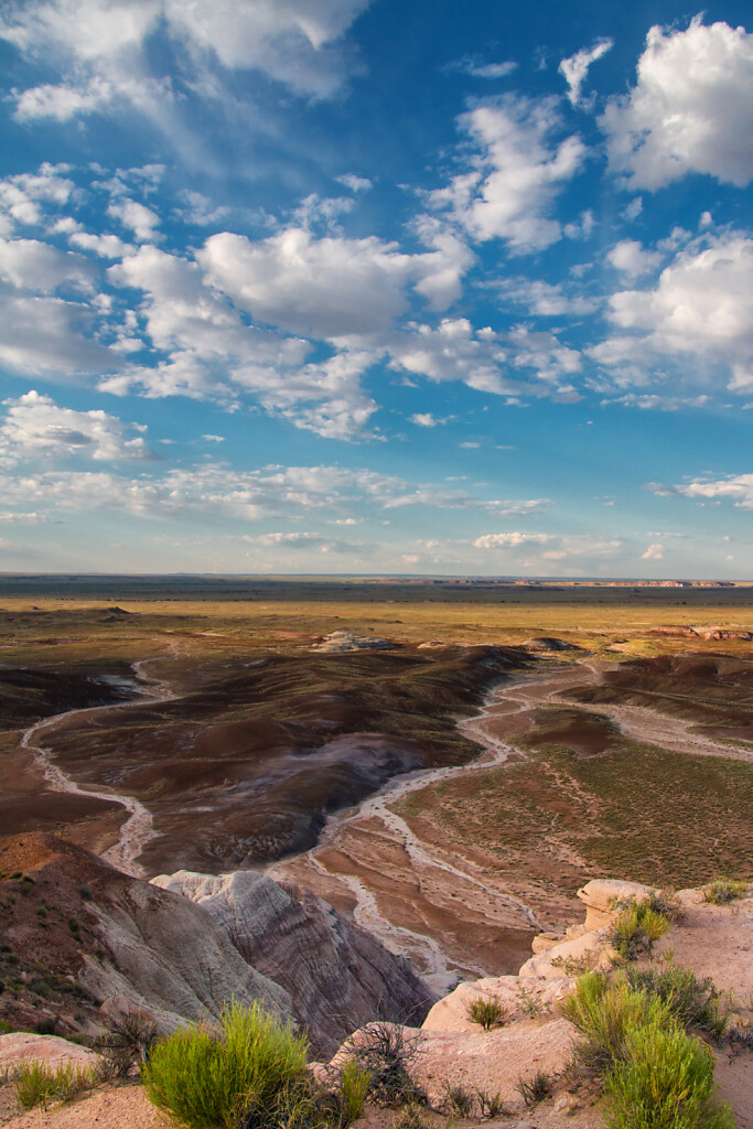 USA-2015-Petrified-Forest-8506-Bearbeitet.jpg