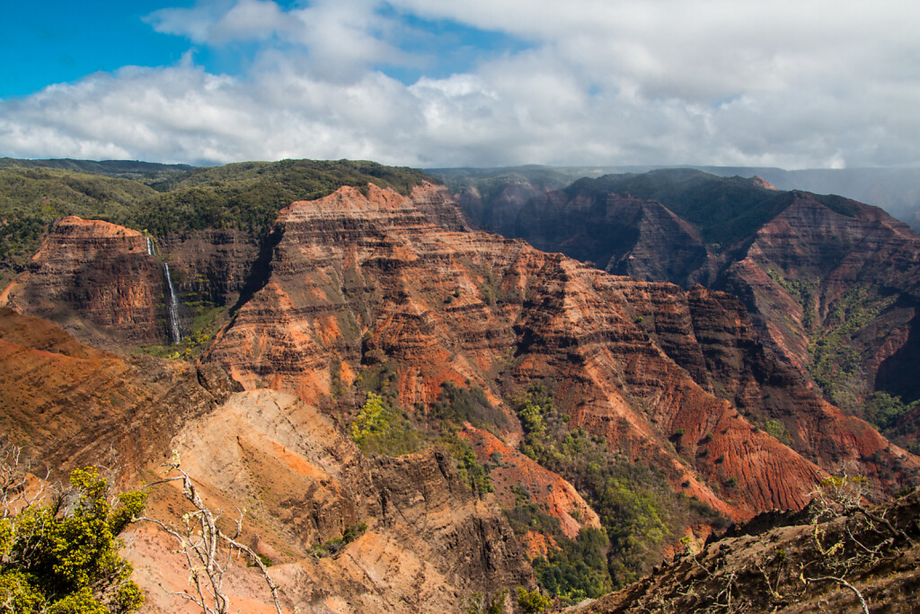 Hawaii-2016-Kauai-0975.jpg